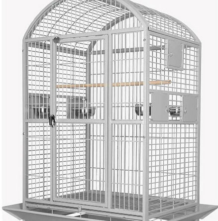 Long Lasting Bird Cage